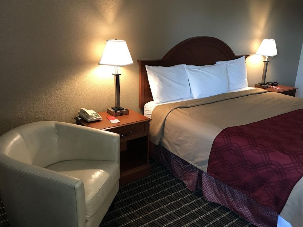 Lodge Econo